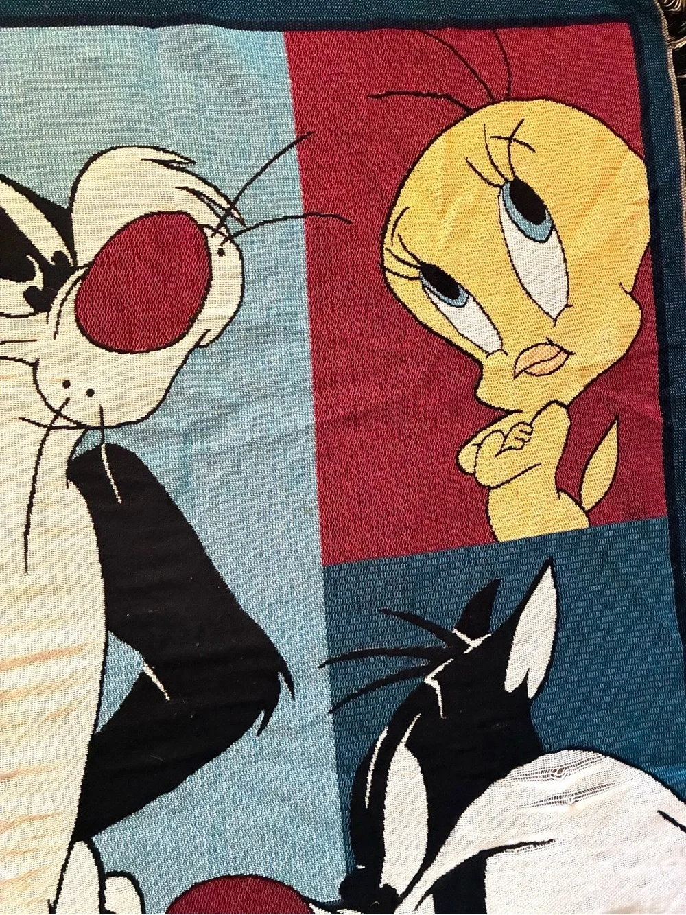 Vintage 1999 Warner Bros Official Merch Sylvester Tweety Throw 48x60